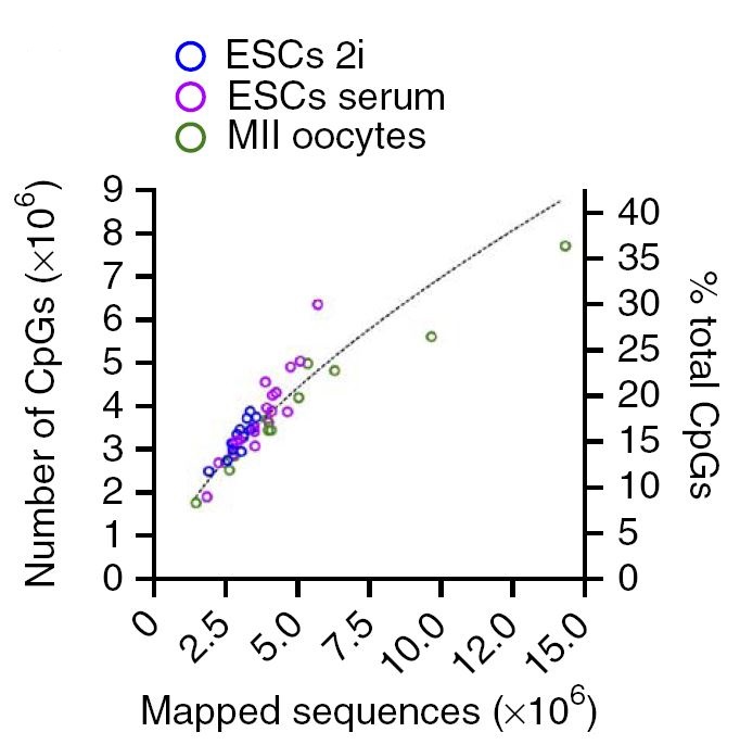 单细胞全基因组甲基化 结果1 检测到甲基化位点数量.JPG